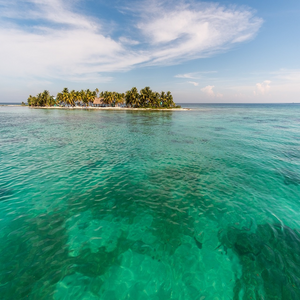 Image by hat3m titled ’laughing bird, caye, coral’. Source: Pixabay