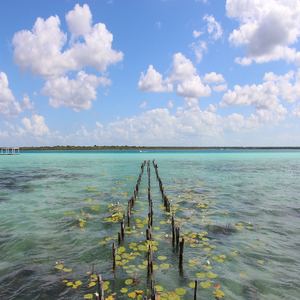 Image by PptoTravel titled ’bacalar, magic town, quintana roo’. Source: Pixabay Image by PptoTravel titled ’bacalar, magic town, quintana roo’. Source: Pixabay