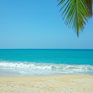Image by confused_me titled ’blue, green, sea’. Source: Pixabay