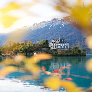 Image by timulrich_pix titled ’iseltwald, bern, lake’. Source: Pixabay Image by timulrich_pix titled ’iseltwald, bern, lake’. Source: Pixabay