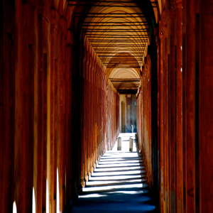 Image by gustavozini titled ’bologna, italy, san luca’. Source: Pixabay