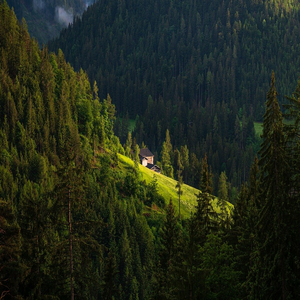 Image by MARTINOPHUC titled ’mountain, house, pine’. Source: Pixabay