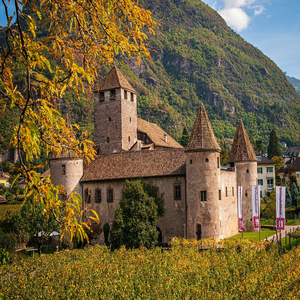 Image by MARTINOPHUC titled ’castle, vineyard, autumn’. Source: Pixabay