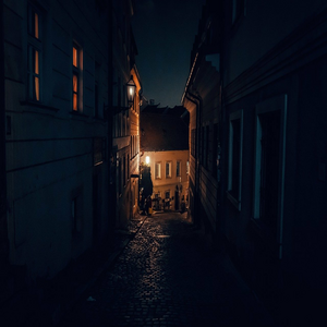 Image by Michael_Pointner titled ’street, old town, house’. Source: Pixabay