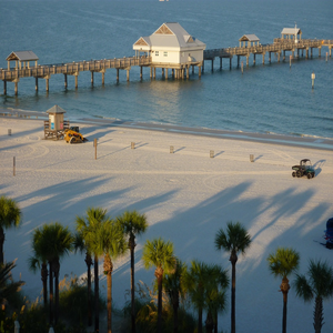 Image by prima4you titled ’america, usa, florida’. Source: Pixabay Image by prima4you titled ’america, usa, florida’. Source: Pixabay