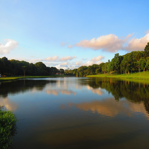 Image by marfernan titled ’brazil, barigui park, curitiba’. Source: Pixabay Image by marfernan titled ’brazil, barigui park, curitiba’. Source: Pixabay