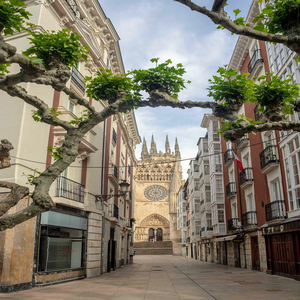 Image by MANOLOBLASCO titled ’cathedral, town, travel’. Source: Pixabay