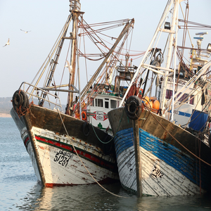 Image by 2427999 titled ’morocco, essaouira, harbour’. Source: Pixabay