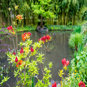 Image by 14632436 titled ’monet, garden, azalea’. Source: Pixabay