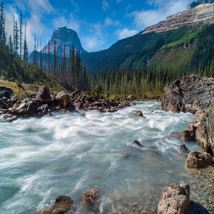 Image by Sonyuser titled ’river, trees, mountains’. Source: Pixabay