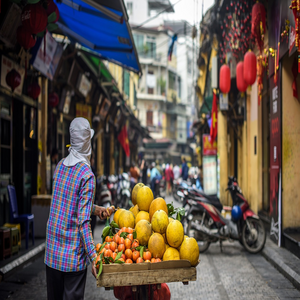 Image by TuanAnhNgo titled ’street vendor, fruit vendor, hanoi’. Source: Pixabay