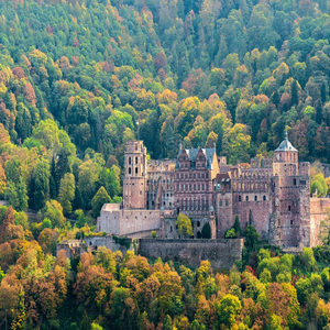 Image by ChiemSeherin titled ’heidelberg, castle, historical’. Source: Pixabay Image by ChiemSeherin titled ’heidelberg, castle, historical’. Source: Pixabay