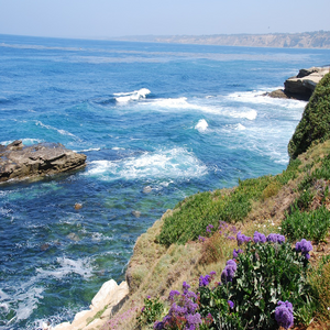 Image by bianca-stock-photos titled ’ocean, cliffs, water’. Source: Pixabay