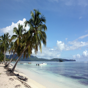 Image by Einfach-Eve titled ’las galeras, samana, dominican republic’. Source: Pixabay