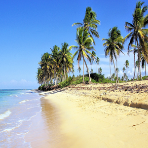 Image by DEZALB titled ’dominican republic, nature, beach’. Source: Pixabay