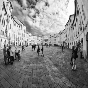 Image by DueterziNET titled ’lucca, square, piazza amphitheater of lucca’. Source: Pixabay