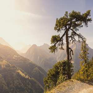 Image by GOTAN81 titled ’mountains, hike, fall’. Source: Pixabay