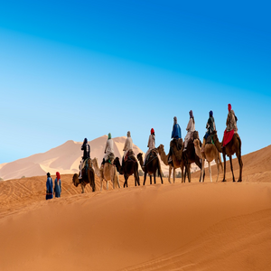 Image by pixelRaw titled ’desert, the sand dunes, caravan’. Source: Pixabay