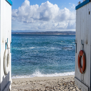 Image by judithscharnowski titled ’monterey, ocean, california’. Source: Pixabay