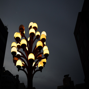 Image by itoukaito titled ’night view, night sky, street light’. Source: Pixabay