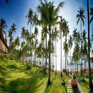 Image by allphotobangkok titled ’sun, grass, han thom’. Source: Pixabay Image by allphotobangkok titled ’sun, grass, han thom’. Source: Pixabay