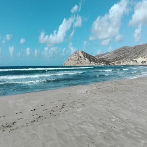 Image by Zsani titled ’beach, wave, sea’. Source: Pixabay
