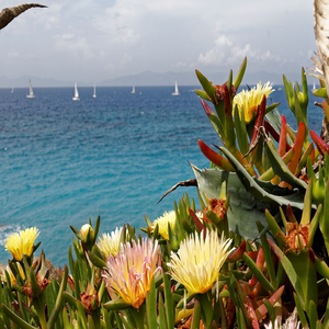 Image by Bru-nO titled ’greece, rhodes, sea’. Source: Pixabay