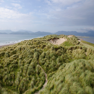 Image by tfrdic titled ’grass, coast, sea’. Source: Pixabay