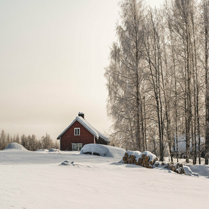 Image by Jan_Meyes titled ’trees, snow, field’. Source: Pixabay