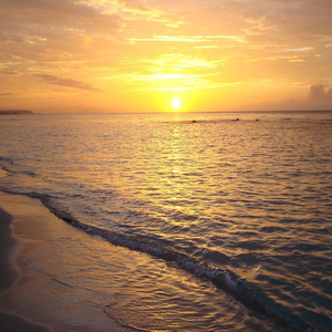 Image by msshlee titled ’jamaica, beach, sunset’. Source: Pixabay