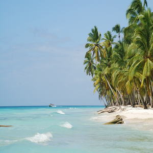 Image by Linodic titled ’santo domingo, the island of saona, beach’. Source: Pixabay Image by Linodic titled ’santo domingo, the island of saona, beach’. Source: Pixabay