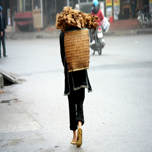 Image by suky6661 titled ’vietnam, sapa, poor’. Source: Pixabay
