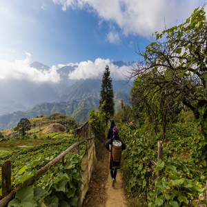 Image by Pfüderi titled ’vietnam, sapa, north vietnam’. Source: Pixabay
