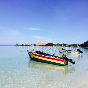 Image by Nadi17 titled ’jamaica, negril, beach’. Source: Pixabay