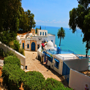 Image by filipstraznicky titled ’tunis, sidi bou said, tunisia’. Source: Pixabay