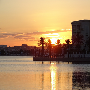 Image by ziedkammoun titled ’tunisia, nature, tunis’. Source: Pixabay