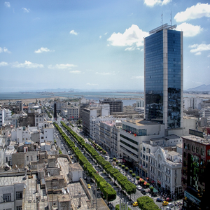 Image by 12019 titled ’tunis, tunisia, cityscape’. Source: Pixabay