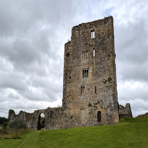 Image by kidmoses titled ’ireland, waterford, architecture’. Source: Pixabay