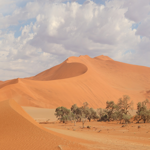 Image by pvdberg titled ’sossusvlei, namib, namibia’. Source: Pixabay