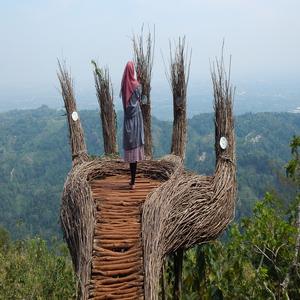 Image by sendywulandh titled ’jogja, pine forest, spot photo’. Source: Pixabay Image by sendywulandh titled ’jogja, pine forest, spot photo’. Source: Pixabay