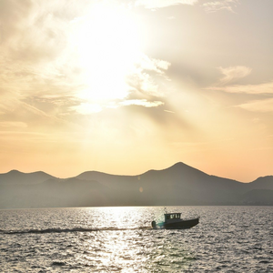 Image by GöranWaldt titled ’zadar, sea, nature’. Source: Pixabay