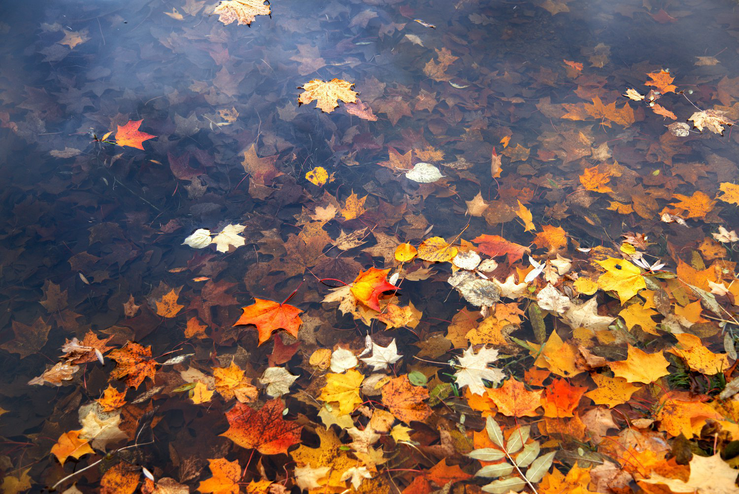 <!--[if gte mso 9]><xml>  <o:OfficeDocumentSettings>   <o:AllowPNG/>  </o:OfficeDocumentSettings> </xml><![endif]--><!--[if gte mso 9]><xml>  <w:WordDocument>   <w:View>Normal</w:View>   <w:Zoom>0</w:Zoom>   <w:TrackMoves/>   <w:TrackFormatting/>   <w:PunctuationKerning/>   <w:ValidateAgainstSchemas/>   <w:SaveIfXMLInvalid>false</w:SaveIfXMLInvalid>   <w:IgnoreMixedContent>false</w:IgnoreMixedContent>   <w:AlwaysShowPlaceholderText>false</w:AlwaysShowPlaceholderText>   <w:DoNotPromoteQF/>   <w:LidThemeOther>RU</w:LidThemeOther>   <w:LidThemeAsian>X-NONE</w:LidThemeAsian>   <w:LidThemeComplexScript>X-NONE</w:LidThemeComplexScript>   <w:Compatibility>    <w:BreakWrappedTables/>    <w:SnapToGridInCell/>    <w:WrapTextWithPunct/>    <w:UseAsianBreakRules/>    <w:DontGrowAutofit/>    <w:SplitPgBreakAndParaMark/>    <w:EnableOpenTypeKerning/>    <w:DontFlipMirrorIndents/>    <w:OverrideTableStyleHps/>   </w:Compatibility>   <m:mathPr>    <m:mathFont m:val="Cambria Math"/>    <m:brkBin m:val="before"/>    <m:brkBinSub m:val="--"/>    <m:smallFrac m:val="off"/>    <m:dispDef/>    <m:lMargin m:val="0"/>    <m:rMargin m:val="0"/>    <m:defJc m:val="centerGroup"/>    <m:wrapIndent m:val="1440"/>    <m:intLim m:val="subSup"/>    <m:naryLim m:val="undOvr"/>   </m:mathPr></w:WordDocument> </xml><![endif]--><!--[if gte mso 9]><xml>  <w:LatentStyles DefLockedState="false" DefUnhideWhenUsed="false"   DefSemiHidden="false" DefQFormat="false" DefPriority="99"   LatentStyleCount="371">   <w:LsdException Locked="false" Priority="0" QFormat="true" Name="Normal"/>   <w:LsdException Locked="false" Priority="9" QFormat="true" Name="heading 1"/>   <w:LsdException Locked="false" Priority="9" SemiHidden="true"    UnhideWhenUsed="true" QFormat="true" Name="heading 2"/>   <w:LsdException Locked="false" Priority="9" SemiHidden="true"    UnhideWhenUsed="true" QFormat="true" Name="heading 3"/>   <w:LsdException Locked="false" Priority="9" SemiHidden="true"    UnhideWhenUsed="true" QFormat="true" Name="heading 4"/>   <w:LsdException Locked="false" Priority="9" SemiHidden="true"    UnhideWhenUsed="true" QFormat="true" Name="heading 5"/>   <w:LsdException Locked="false" Priority="9" SemiHidden="true"    UnhideWhenUsed="true" QFormat="true" Name="heading 6"/>   <w:LsdException Locked="false" Priority="9" SemiHidden="true"    UnhideWhenUsed="true" QFormat="true" Name="heading 7"/>   <w:LsdException Locked="false" Priority="9" SemiHidden="true"    UnhideWhenUsed="true" QFormat="true" Name="heading 8"/>   <w:LsdException Locked="false" Priority="9" SemiHidden="true"    UnhideWhenUsed="true" QFormat="true" Name="heading 9"/>   <w:LsdException Locked="false" SemiHidden="true" UnhideWhenUsed="true"    Name="index 1"/>   <w:LsdException Locked="false" SemiHidden="true" UnhideWhenUsed="true"    Name="index 2"/>   <w:LsdException Locked="false" SemiHidden="true" UnhideWhenUsed="true"    Name="index 3"/>   <w:LsdException Locked="false" SemiHidden="true" UnhideWhenUsed="true"    Name="index 4"/>   <w:LsdException Locked="false" SemiHidden="true" UnhideWhenUsed="true"    Name="index 5"/>   <w:LsdException Locked="false" SemiHidden="true" UnhideWhenUsed="true"    Name="index 6"/>   <w:LsdException Locked="false" SemiHidden="true" UnhideWhenUsed="true"    Name="index 7"/>   <w:LsdException Locked="false" SemiHidden="true" UnhideWhenUsed="true"    Name="index 8"/>   <w:LsdException Locked="false" SemiHidden="true" UnhideWhenUsed="true"    Name="index 9"/>   <w:LsdException Locked="false" Priority="39" SemiHidden="true"    UnhideWhenUsed="true" Name="toc 1"/>   <w:LsdException Locked="false" Priority="39" SemiHidden="true"    UnhideWhenUsed="true" Name="toc 2"/>   <w:LsdException Locked="false" Priority="39" SemiHidden="true"    UnhideWhenUsed="true" Name="toc 3"/>   <w:LsdException Locked="false" Priority="39" SemiHidden="true"    UnhideWhenUsed="true" Name="toc 4"/>   <w:LsdException Locked="false" Priority="39" SemiHidden="true"    UnhideWhenUsed="true" Name="toc 5"/>   <w:LsdException Locked="false" Priority="39" SemiHidden="true"    UnhideWhenUsed="true" Name="toc 6"/>   <w:LsdException Locked="false" Priority="39" SemiHidden="true"    UnhideWhenUsed="true" Name="toc 7"/>   <w:LsdException Locked="false" Priority="39" SemiHidden="true"    UnhideWhenUsed="true" Name="toc 8"/>   <w:LsdException Locked="false" Priority="39" SemiHidden="true"    UnhideWhenUsed="true" Name="toc 9"/>   <w:LsdException Locked="false" SemiHidden="true" UnhideWhenUsed="true"    Name="Normal Indent"/>   <w:LsdException Locked="false" SemiHidden="true" UnhideWhenUsed="true"    Name="footnote text"/>   <w:LsdException Locked="false" SemiHidden="true" UnhideWhenUsed="true"    Name="annotation text"/>   <w:LsdException Locked="false" SemiHidden="true" UnhideWhenUsed="true"    Name="header"/>   <w:LsdException Locked="false" SemiHidden="true" UnhideWhenUsed="true"    Name="footer"/>   <w:LsdException Locked="false" SemiHidden="true" UnhideWhenUsed="true"    Name="index heading"/>   <w:LsdException Locked="false" Priority="35" SemiHidden="true"    UnhideWhenUsed="true" QFormat="true" Name="caption"/>   <w:LsdException Locked="false" SemiHidden="true" UnhideWhenUsed="true"    Name="table of figures"/>   <w:LsdException Locked="false" SemiHidden="true" UnhideWhenUsed="true"    Name="envelope address"/>   <w:LsdException Locked="false" SemiHidden="true" UnhideWhenUsed="true"    Name="envelope return"/>   <w:LsdException Locked="false" SemiHidden="true" UnhideWhenUsed="true"    Name="footnote reference"/>   <w:LsdException Locked="false" SemiHidden="true" UnhideWhenUsed="true"    Name="annotation reference"/>   <w:LsdException Locked="false" SemiHidden="true" UnhideWhenUsed="true"    Name="line number"/>   <w:LsdException Locked="false" SemiHidden="true" UnhideWhenUsed="true"    Name="page number"/>   <w:LsdException Locked="false" SemiHidden="true" UnhideWhenUsed="true"    Name="endnote reference"/>   <w:LsdException Locked="false" SemiHidden="true" UnhideWhenUsed="true"    Name="endnote text"/>   <w:LsdException Locked="false" SemiHidden="true" UnhideWhenUsed="true"    Name="table of authorities"/>   <w:LsdException Locked="false" SemiHidden="true" UnhideWhenUsed="true"    Name="macro"/>   <w:LsdException Locked="false" SemiHidden="true" UnhideWhenUsed="true"    Name="toa heading"/>   <w:LsdException Locked="false" SemiHidden="true" UnhideWhenUsed="true"    Name="List"/>   <w:LsdException Locked="false" SemiHidden="true" UnhideWhenUsed="true"    Name="List Bullet"/>   <w:LsdException Locked="false" SemiHidden="true" UnhideWhenUsed="true"    Name="List Number"/>   <w:LsdException Locked="false" SemiHidden="true" UnhideWhenUsed="true"    Name="List 2"/>   <w:LsdException Locked="false" SemiHidden="true" UnhideWhenUsed="true"    Name="List 3"/>   <w:LsdException Locked="false" SemiHidden="true" UnhideWhenUsed="true"    Name="List 4"/>   <w:LsdException Locked="false" SemiHidden="true" UnhideWhenUsed="true"    Name="List 5"/>   <w:LsdException Locked="false" SemiHidden="true" UnhideWhenUsed="true"    Name="List Bullet 2"/>   <w:LsdException Locked="false" SemiHidden="true" UnhideWhenUsed="true"    Name="List Bullet 3"/>   <w:LsdException Locked="false" SemiHidden="true" UnhideWhenUsed="true"    Name="List Bullet 4"/>   <w:LsdException Locked="false" SemiHidden="true" UnhideWhenUsed="true"    Name="List Bullet 5"/>   <w:LsdException Locked="false" SemiHidden="true" UnhideWhenUsed="true"    Name="List Number 2"/>   <w:LsdException Locked="false" SemiHidden="true" UnhideWhenUsed="true"    Name="List Number 3"/>   <w:LsdException Locked="false" SemiHidden="true" UnhideWhenUsed="true"    Name="List Number 4"/>   <w:LsdException Locked="false" SemiHidden="true" UnhideWhenUsed="true"    Name="List Number 5"/>   <w:LsdException Locked="false" Priority="10" QFormat="true" Name="Title"/>   <w:LsdException Locked="false" SemiHidden="true" UnhideWhenUsed="true"    Name="Closing"/>   <w:LsdException Locked="false" SemiHidden="true" UnhideWhenUsed="true"    Name="Signature"/>   <w:LsdException Locked="false" Priority="1" SemiHidden="true"    UnhideWhenUsed="true" Name="Default Paragraph Font"/>   <w:LsdException Locked="false" SemiHidden="true" UnhideWhenUsed="true"    Name="Body Text"/>   <w:LsdException Locked="false" SemiHidden="true" UnhideWhenUsed="true"    Name="Body Text Indent"/>   <w:LsdException Locked="false" SemiHidden="true" UnhideWhenUsed="true"    Name="List Continue"/>   <w:LsdException Locked="false" SemiHidden="true" UnhideWhenUsed="true"    Name="List Continue 2"/>   <w:LsdException Locked="false" SemiHidden="true" UnhideWhenUsed="true"    Name="List Continue 3"/>   <w:LsdException Locked="false" SemiHidden="true" UnhideWhenUsed="true"    Name="List Continue 4"/>   <w:LsdException Locked="false" SemiHidden="true" UnhideWhenUsed="true"    Name="List Continue 5"/>   <w:LsdException Locked="false" SemiHidden="true" UnhideWhenUsed="true"    Name="Message Header"/>   <w:LsdException Locked="false" Priority="11" QFormat="true" Name="Subtitle"/>   <w:LsdException Locked="false" SemiHidden="true" UnhideWhenUsed="true"    Name="Salutation"/>   <w:LsdException Locked="false" SemiHidden="true" UnhideWhenUsed="true"    Name="Date"/>   <w:LsdException Locked="false" SemiHidden="true" UnhideWhenUsed="true"    Name="Body Text First Indent"/>   <w:LsdException Locked="false" SemiHidden="true" UnhideWhenUsed="true"    Name="Body Text First Indent 2"/>   <w:LsdException Locked="false" SemiHidden="true" UnhideWhenUsed="true"    Name="Note Heading"/>   <w:LsdException Locked="false" SemiHidden="true" UnhideWhenUsed="true"    Name="Body Text 2"/>   <w:LsdException Locked="false" SemiHidden="true" UnhideWhenUsed="true"    Name="Body Text 3"/>   <w:LsdException Locked="false" SemiHidden="true" UnhideWhenUsed="true"    Name="Body Text Indent 2"/>   <w:LsdException Locked="false" SemiHidden="true" UnhideWhenUsed="true"    Name="Body Text Indent 3"/>   <w:LsdException Locked="false" SemiHidden="true" UnhideWhenUsed="true"    Name="Block Text"/>   <w:LsdException Locked="false" SemiHidden="true" UnhideWhenUsed="true"    Name="Hyperlink"/>   <w:LsdException Locked="false" SemiHidden="true" UnhideWhenUsed="true"    Name="FollowedHyperlink"/>   <w:LsdException Locked="false" Priority="22" QFormat="true" Name="Strong"/>   <w:LsdException Locked="false" Priority="20" QFormat="true" Name="Emphasis"/>   <w:LsdException Locked="false" SemiHidden="true" UnhideWhenUsed="true"    Name="Document Map"/>   <w:LsdException Locked="false" SemiHidden="true" UnhideWhenUsed="true"    Name="Plain Text"/>   <w:LsdException Locked="false" SemiHidden="true" UnhideWhenUsed="true"    Name="E-mail Signature"/>   <w:LsdException Locked="false" SemiHidden="true" UnhideWhenUsed="true"    Name="HTML Top of Form"/>   <w:LsdException Locked="false" SemiHidden="true" UnhideWhenUsed="true"    Name="HTML Bottom of Form"/>   <w:LsdException Locked="false" SemiHidden="true" UnhideWhenUsed="true"    Name="Normal (Web)"/>   <w:LsdException Locked="false" SemiHidden="true" UnhideWhenUsed="true"    Name="HTML Acronym"/>   <w:LsdException Locked="false" SemiHidden="true" UnhideWhenUsed="true"    Name="HTML Address"/>   <w:LsdException Locked="false" SemiHidden="true" UnhideWhenUsed="true"    Name="HTML Cite"/>   <w:LsdException Locked="false" SemiHidden="true" UnhideWhenUsed="true"    Name="HTML Code"/>   <w:LsdException Locked="false" SemiHidden="true" UnhideWhenUsed="true"    Name="HTML Definition"/>   <w:LsdException Locked="false" SemiHidden="true" UnhideWhenUsed="true"    Name="HTML Keyboard"/>   <w:LsdException Locked="false" SemiHidden="true" UnhideWhenUsed="true"    Name="HTML Preformatted"/>   <w:LsdException Locked="false" SemiHidden="true" UnhideWhenUsed="true"    Name="HTML Sample"/>   <w:LsdException Locked="false" SemiHidden="true" UnhideWhenUsed="true"    Name="HTML Typewriter"/>   <w:LsdException Locked="false" SemiHidden="true" UnhideWhenUsed="true"    Name="HTML Variable"/>   <w:LsdException Locked="false" SemiHidden="true" UnhideWhenUsed="true"    Name="Normal Table"/>   <w:LsdException Locked="false" SemiHidden="true" UnhideWhenUsed="true"    Name="annotation subject"/>   <w:LsdException Locked="false" SemiHidden="true" UnhideWhenUsed="true"    Name="No List"/>   <w:LsdException Locked="false" SemiHidden="true" UnhideWhenUsed="true"    Name="Outline List 1"/>   <w:LsdException Locked="false" SemiHidden="true" UnhideWhenUsed="true"    Name="Outline List 2"/>   <w:LsdException Locked="false" SemiHidden="true" UnhideWhenUsed="true"    Name="Outline List 3"/>   <w:LsdException Locked="false" SemiHidden="true" UnhideWhenUsed="true"    Name="Table Simple 1"/>   <w:LsdException Locked="false" SemiHidden="true" UnhideWhenUsed="true"    Name="Table Simple 2"/>   <w:LsdException Locked="false" SemiHidden="true" UnhideWhenUsed="true"    Name="Table Simple 3"/>   <w:LsdException Locked="false" SemiHidden="true" UnhideWhenUsed="true"    Name="Table Classic 1"/>   <w:LsdException Locked="false" SemiHidden="true" UnhideWhenUsed="true"    Name="Table Classic 2"/>   <w:LsdException Locked="false" SemiHidden="true" UnhideWhenUsed="true"    Name="Table Classic 3"/>   <w:LsdException Locked="false" SemiHidden="true" UnhideWhenUsed="true"    Name="Table Classic 4"/>   <w:LsdException Locked="false" SemiHidden="true" UnhideWhenUsed="true"    Name="Table Colorful 1"/>   <w:LsdException Locked="false" SemiHidden="true" UnhideWhenUsed="true"    Name="Table Colorful 2"/>   <w:LsdException Locked="false" SemiHidden="true" UnhideWhenUsed="true"    Name="Table Colorful 3"/>   <w:LsdException Locked="false" SemiHidden="true" UnhideWhenUsed="true"    Name="Table Columns 1"/>   <w:LsdException Locked="false" SemiHidden="true" UnhideWhenUsed="true"    Name="Table Columns 2"/>   <w:LsdException Locked="false" SemiHidden="true" UnhideWhenUsed="true"    Name="Table Columns 3"/>   <w:LsdException Locked="false" SemiHidden="true" UnhideWhenUsed="true"    Name="Table Columns 4"/>   <w:LsdException Locked="false" SemiHidden="true" UnhideWhenUsed="true"    Name="Table Columns 5"/>   <w:LsdException Locked="false" SemiHidden="true" UnhideWhenUsed="true"    Name="Table Grid 1"/>   <w:LsdException Locked="false" SemiHidden="true" UnhideWhenUsed="true"    Name="Table Grid 2"/>   <w:LsdException Locked="false" SemiHidden="true" UnhideWhenUsed="true"    Name="Table Grid 3"/>   <w:LsdException Locked="false" SemiHidden="true" UnhideWhenUsed="true"    Name="Table Grid 4"/>   <w:LsdException Locked="false" SemiHidden="true" UnhideWhenUsed="true"    Name="Table Grid 5"/>   <w:LsdException Locked="false" SemiHidden="true" UnhideWhenUsed="true"    Name="Table Grid 6"/>   <w:LsdException Locked="false" SemiHidden="true" UnhideWhenUsed="true"    Name="Table Grid 7"/>   <w:LsdException Locked="false" SemiHidden="true" UnhideWhenUsed="true"    Name="Table Grid 8"/>   <w:LsdException Locked="false" SemiHidden="true" UnhideWhenUsed="true"    Name="Table List 1"/>   <w:LsdException Locked="false" SemiHidden="true" UnhideWhenUsed="true"    Name="Table List 2"/>   <w:LsdException Locked="false" SemiHidden="true" UnhideWhenUsed="true"    Name="Table List 3"/>   <w:LsdException Locked="false" SemiHidden="true" UnhideWhenUsed="true"    Name="Table List 4"/>   <w:LsdException Locked="false" SemiHidden="true" UnhideWhenUsed="true"    Name="Table List 5"/>   <w:LsdException Locked="false" SemiHidden="true" UnhideWhenUsed="true"    Name="Table List 6"/>   <w:LsdException Locked="false" SemiHidden="true" UnhideWhenUsed="true"    Name="Table List 7"/>   <w:LsdException Locked="false" SemiHidden="true" UnhideWhenUsed="true"    Name="Table List 8"/>   <w:LsdException Locked="false" SemiHidden="true" UnhideWhenUsed="true"    Name="Table 3D effects 1"/>   <w:LsdException Locked="false" SemiHidden="true" UnhideWhenUsed="true"    Name="Table 3D effects 2"/>   <w:LsdException Locked="false" SemiHidden="true" UnhideWhenUsed="true"    Name="Table 3D effects 3"/>   <w:LsdException Locked="false" SemiHidden="true" UnhideWhenUsed="true"    Name="Table Contemporary"/>   <w:LsdException Locked="false" SemiHidden="true" UnhideWhenUsed="true"    Name="Table Elegant"/>   <w:LsdException Locked="false" SemiHidden="true" UnhideWhenUsed="true"    Name="Table Professional"/>   <w:LsdException Locked="false" SemiHidden="true" UnhideWhenUsed="true"    Name="Table Subtle 1"/>   <w:LsdException Locked="false" SemiHidden="true" UnhideWhenUsed="true"    Name="Table Subtle 2"/>   <w:LsdException Locked="false" SemiHidden="true" UnhideWhenUsed="true"    Name="Table Web 1"/>   <w:LsdException Locked="false" SemiHidden="true" UnhideWhenUsed="true"    Name="Table Web 2"/>   <w:LsdException Locked="false" SemiHidden="true" UnhideWhenUsed="true"    Name="Table Web 3"/>   <w:LsdException Locked="false" SemiHidden="true" UnhideWhenUsed="true"    Name="Balloon Text"/>   <w:LsdException Locked="false" Priority="39" Name="Table Grid"/>   <w:LsdException Locked="false" SemiHidden="true" UnhideWhenUsed="true"    Name="Table Theme"/>   <w:LsdException Locked="false" SemiHidden="true" Name="Placeholder Text"/>   <w:LsdException Locked="false" Priority="1" QFormat="true" Name="No Spacing"/>   <w:LsdException Locked="false" Priority="60" Name="Light Shading"/>   <w:LsdException Locked="false" Priority="61" Name="Light List"/>   <w:LsdException Locked="false" Priority="62" Name="Light Grid"/>   <w:LsdException Locked="false" Priority="63" Name="Medium Shading 1"/>   <w:LsdException Locked="false" Priority="64" Name="Medium Shading 2"/>   <w:LsdException Locked="false" Priority="65" Name="Medium List 1"/>   <w:LsdException Locked="false" Priority="66" Name="Medium List 2"/>   <w:LsdException Locked="false" Priority="67" Name="Medium Grid 1"/>   <w:LsdException Locked="false" Priority="68" Name="Medium Grid 2"/>   <w:LsdException Locked="false" Priority="69" Name="Medium Grid 3"/>   <w:LsdException Locked="false" Priority="70" Name="Dark List"/>   <w:LsdException Locked="false" Priority="71" Name="Colorful Shading"/>   <w:LsdException Locked="false" Priority="72" Name="Colorful List"/>   <w:LsdException Locked="false" Priority="73" Name="Colorful Grid"/>   <w:LsdException Locked="false" Priority="60" Name="Light Shading Accent 1"/>   <w:LsdException Locked="false" Priority="61" Name="Light List Accent 1"/>   <w:LsdException Locked="false" Priority="62" Name="Light Grid Accent 1"/>   <w:LsdException Locked="false" Priority="63" Name="Medium Shading 1 Accent 1"/>   <w:LsdException Locked="false" Priority="64" Name="Medium Shading 2 Accent 1"/>   <w:LsdException Locked="false" Priority="65" Name="Medium List 1 Accent 1"/>   <w:LsdException Locked="false" SemiHidden="true" Name="Revision"/>   <w:LsdException Locked="false" Priority="34" QFormat="true"    Name="List Paragraph"/>   <w:LsdException Locked="false" Priority="29" QFormat="true" Name="Quote"/>   <w:LsdException Locked="false" Priority="30" QFormat="true"    Name="Intense Quote"/>   <w:LsdException Locked="false" Priority="66" Name="Medium List 2 Accent 1"/>   <w:LsdException Locked="false" Priority="67" Name="Medium Grid 1 Accent 1"/>   <w:LsdException Locked="false" Priority="68" Name="Medium Grid 2 Accent 1"/>   <w:LsdException Locked="false" Priority="69" Name="Medium Grid 3 Accent 1"/>   <w:LsdException Locked="false" Priority="70" Name="Dark List Accent 1"/>   <w:LsdException Locked="false" Priority="71" Name="Colorful Shading Accent 1"/>   <w:LsdException Locked="false" Priority="72" Name="Colorful List Accent 1"/>   <w:LsdException Locked="false" Priority="73" Name="Colorful Grid Accent 1"/>   <w:LsdException Locked="false" Priority="60" Name="Light Shading Accent 2"/>   <w:LsdException Locked="false" Priority="61" Name="Light List Accent 2"/>   <w:LsdException Locked="false" Priority="62" Name="Light Grid Accent 2"/>   <w:LsdException Locked="false" Priority="63" Name="Medium Shading 1 Accent 2"/>   <w:LsdException Locked="false" Priority="64" Name="Medium Shading 2 Accent 2"/>   <w:LsdException Locked="false" Priority="65" Name="Medium List 1 Accent 2"/>   <w:LsdException Locked="false" Priority="66" Name="Medium List 2 Accent 2"/>   <w:LsdException Locked="false" Priority="67" Name="Medium Grid 1 Accent 2"/>   <w:LsdException Locked="false" Priority="68" Name="Medium Grid 2 Accent 2"/>   <w:LsdException Locked="false" Priority="69" Name="Medium Grid 3 Accent 2"/>   <w:LsdException Locked="false" Priority="70" Name="Dark List Accent 2"/>   <w:LsdException Locked="false" Priority="71" Name="Colorful Shading Accent 2"/>   <w:LsdException Locked="false" Priority="72" Name="Colorful List Accent 2"/>   <w:LsdException Locked="false" Priority="73" Name="Colorful Grid Accent 2"/>   <w:LsdException Locked="false" Priority="60" Name="Light Shading Accent 3"/>   <w:LsdException Locked="false" Priority="61" Name="Light List Accent 3"/>   <w:LsdException Locked="false" Priority="62" Name="Light Grid Accent 3"/>   <w:LsdException Locked="false" Priority="63" Name="Medium Shading 1 Accent 3"/>   <w:LsdException Locked="false" Priority="64" Name="Medium Shading 2 Accent 3"/>   <w:LsdException Locked="false" Priority="65" Name="Medium List 1 Accent 3"/>   <w:LsdException Locked="false" Priority="66" Name="Medium List 2 Accent 3"/>   <w:LsdException Locked="false" Priority="67" Name="Medium Grid 1 Accent 3"/>   <w:LsdException Locked="false" Priority="68" Name="Medium Grid 2 Accent 3"/>   <w:LsdException Locked="false" Priority="69" Name="Medium Grid 3 Accent 3"/>   <w:LsdException Locked="false" Priority="70" Name="Dark List Accent 3"/>   <w:LsdException Locked="false" Priority="71" Name="Colorful Shading Accent 3"/>   <w:LsdException Locked="false" Priority="72" Name="Colorful List Accent 3"/>   <w:LsdException Locked="false" Priority="73" Name="Colorful Grid Accent 3"/>   <w:LsdException Locked="false" Priority="60" Name="Light Shading Accent 4"/>   <w:LsdException Locked="false" Priority="61" Name="Light List Accent 4"/>   <w:LsdException Locked="false" Priority="62" Name="Light Grid Accent 4"/>   <w:LsdException Locked="false" Priority="63" Name="Medium Shading 1 Accent 4"/>   <w:LsdException Locked="false" Priority="64" Name="Medium Shading 2 Accent 4"/>   <w:LsdException Locked="false" Priority="65" Name="Medium List 1 Accent 4"/>   <w:LsdException Locked="false" Priority="66" Name="Medium List 2 Accent 4"/>   <w:LsdException Locked="false" Priority="67" Name="Medium Grid 1 Accent 4"/>   <w:LsdException Locked="false" Priority="68" Name="Medium Grid 2 Accent 4"/>   <w:LsdException Locked="false" Priority="69" Name="Medium Grid 3 Accent 4"/>   <w:LsdException Locked="false" Priority="70" Name="Dark List Accent 4"/>   <w:LsdException Locked="false" Priority="71" Name="Colorful Shading Accent 4"/>   <w:LsdException Locked="false" Priority="72" Name="Colorful List Accent 4"/>   <w:LsdException Locked="false" Priority="73" Name="Colorful Grid Accent 4"/>   <w:LsdException Locked="false" Priority="60" Name="Light Shading Accent 5"/>   <w:LsdException Locked="false" Priority="61" Name="Light List Accent 5"/>   <w:LsdException Locked="false" Priority="62" Name="Light Grid Accent 5"/>   <w:LsdException Locked="false" Priority="63" Name="Medium Shading 1 Accent 5"/>   <w:LsdException Locked="false" Priority="64" Name="Medium Shading 2 Accent 5"/>   <w:LsdException Locked="false" Priority="65" Name="Medium List 1 Accent 5"/>   <w:LsdException Locked="false" Priority="66" Name="Medium List 2 Accent 5"/>   <w:LsdException Locked="false" Priority="67" Name="Medium Grid 1 Accent 5"/>   <w:LsdException Locked="false" Priority="68" Name="Medium Grid 2 Accent 5"/>   <w:LsdException Locked="false" Priority="69" Name="Medium Grid 3 Accent 5"/>   <w:LsdException Locked="false" Priority="70" Name="Dark List Accent 5"/>   <w:LsdException Locked="false" Priority="71" Name="Colorful Shading Accent 5"/>   <w:LsdException Locked="false" Priority="72" Name="Colorful List Accent 5"/>   <w:LsdException Locked="false" Priority="73" Name="Colorful Grid Accent 5"/>   <w:LsdException Locked="false" Priority="60" Name="Light Shading Accent 6"/>   <w:LsdException Locked="false" Priority="61" Name="Light List Accent 6"/>   <w:LsdException Locked="false" Priority="62" Name="Light Grid Accent 6"/>   <w:LsdException Locked="false" Priority="63" Name="Medium Shading 1 Accent 6"/>   <w:LsdException Locked="false" Priority="64" Name="Medium Shading 2 Accent 6"/>   <w:LsdException Locked="false" Priority="65" Name="Medium List 1 Accent 6"/>   <w:LsdException Locked="false" Priority="66" Name="Medium List 2 Accent 6"/>   <w:LsdException Locked="false" Priority="67" Name="Medium Grid 1 Accent 6"/>   <w:LsdException Locked="false" Priority="68" Name="Medium Grid 2 Accent 6"/>   <w:LsdException Locked="false" Priority="69" Name="Medium Grid 3 Accent 6"/>   <w:LsdException Locked="false" Priority="70" Name="Dark List Accent 6"/>   <w:LsdException Locked="false" Priority="71" Name="Colorful Shading Accent 6"/>   <w:LsdException Locked="false" Priority="72" Name="Colorful List Accent 6"/>   <w:LsdException Locked="false" Priority="73" Name="Colorful Grid Accent 6"/>   <w:LsdException Locked="false" Priority="19" QFormat="true"    Name="Subtle Emphasis"/>   <w:LsdException Locked="false" Priority="21" QFormat="true"    Name="Intense Emphasis"/>   <w:LsdException Locked="false" Priority="31" QFormat="true"    Name="Subtle Reference"/>   <w:LsdException Locked="false" Priority="32" QFormat="true"    Name="Intense Reference"/>   <w:LsdException Locked="false" Priority="33" QFormat="true" Name="Book Title"/>   <w:LsdException Locked="false" Priority="37" SemiHidden="true"    UnhideWhenUsed="true" Name="Bibliography"/>   <w:LsdException Locked="false" Priority="39" SemiHidden="true"    UnhideWhenUsed="true" QFormat="true" Name="TOC Heading"/>   <w:LsdException Locked="false" Priority="41" Name="Plain Table 1"/>   <w:LsdException Locked="false" Priority="42" Name="Plain Table 2"/>   <w:LsdException Locked="false" Priority="43" Name="Plain Table 3"/>   <w:LsdException Locked="false" Priority="44" Name="Plain Table 4"/>   <w:LsdException Locked="false" Priority="45" Name="Plain Table 5"/>   <w:LsdException Locked="false" Priority="40" Name="Grid Table Light"/>   <w:LsdException Locked="false" Priority="46" Name="Grid Table 1 Light"/>   <w:LsdException Locked="false" Priority="47" Name="Grid Table 2"/>   <w:LsdException Locked="false" Priority="48" Name="Grid Table 3"/>   <w:LsdException Locked="false" Priority="49" Name="Grid Table 4"/>   <w:LsdException Locked="false" Priority="50" Name="Grid Table 5 Dark"/>   <w:LsdException Locked="false" Priority="51" Name="Grid Table 6 Colorful"/>   <w:LsdException Locked="false" Priority="52" Name="Grid Table 7 Colorful"/>   <w:LsdException Locked="false" Priority="46"    Name="Grid Table 1 Light Accent 1"/>   <w:LsdException Locked="false" Priority="47" Name="Grid Table 2 Accent 1"/>   <w:LsdException Locked="false" Priority="48" Name="Grid Table 3 Accent 1"/>   <w:LsdException Locked="false" Priority="49" Name="Grid Table 4 Accent 1"/>   <w:LsdException Locked="false" Priority="50" Name="Grid Table 5 Dark Accent 1"/>   <w:LsdException Locked="false" Priority="51"    Name="Grid Table 6 Colorful Accent 1"/>   <w:LsdException Locked="false" Priority="52"    Name="Grid Table 7 Colorful Accent 1"/>   <w:LsdException Locked="false" Priority="46"    Name="Grid Table 1 Light Accent 2"/>   <w:LsdException Locked="false" Priority="47" Name="Grid Table 2 Accent 2"/>   <w:LsdException Locked="false" Priority="48" Name="Grid Table 3 Accent 2"/>   <w:LsdException Locked="false" Priority="49" Name="Grid Table 4 Accent 2"/>   <w:LsdException Locked="false" Priority="50" Name="Grid Table 5 Dark Accent 2"/>   <w:LsdException Locked="false" Priority="51"    Name="Grid Table 6 Colorful Accent 2"/>   <w:LsdException Locked="false" Priority="52"    Name="Grid Table 7 Colorful Accent 2"/>   <w:LsdException Locked="false" Priority="46"    Name="Grid Table 1 Light Accent 3"/>   <w:LsdException Locked="false" Priority="47" Name="Grid Table 2 Accent 3"/>   <w:LsdException Locked="false" Priority="48" Name="Grid Table 3 Accent 3"/>   <w:LsdException Locked="false" Priority="49" Name="Grid Table 4 Accent 3"/>   <w:LsdException Locked="false" Priority="50" Name="Grid Table 5 Dark Accent 3"/>   <w:LsdException Locked="false" Priority="51"    Name="Grid Table 6 Colorful Accent 3"/>   <w:LsdException Locked="false" Priority="52"    Name="Grid Table 7 Colorful Accent 3"/>   <w:LsdException Locked="false" Priority="46"    Name="Grid Table 1 Light Accent 4"/>   <w:LsdException Locked="false" Priority="47" Name="Grid Table 2 Accent 4"/>   <w:LsdException Locked="false" Priority="48" Name="Grid Table 3 Accent 4"/>   <w:LsdException Locked="false" Priority="49" Name="Grid Table 4 Accent 4"/>   <w:LsdException Locked="false" Priority="50" Name="Grid Table 5 Dark Accent 4"/>   <w:LsdException Locked="false" Priority="51"    Name="Grid Table 6 Colorful Accent 4"/>   <w:LsdException Locked="false" Priority="52"    Name="Grid Table 7 Colorful Accent 4"/>   <w:LsdException Locked="false" Priority="46"    Name="Grid Table 1 Light Accent 5"/>   <w:LsdException Locked="false" Priority="47" Name="Grid Table 2 Accent 5"/>   <w:LsdException Locked="false" Priority="48" Name="Grid Table 3 Accent 5"/>   <w:LsdException Locked="false" Priority="49" Name="Grid Table 4 Accent 5"/>   <w:LsdException Locked="false" Priority="50" Name="Grid Table 5 Dark Accent 5"/>   <w:LsdException Locked="false" Priority="51"    Name="Grid Table 6 Colorful Accent 5"/>   <w:LsdException Locked="false" Priority="52"    Name="Grid Table 7 Colorful Accent 5"/>   <w:LsdException Locked="false" Priority="46"    Name="Grid Table 1 Light Accent 6"/>   <w:LsdException Locked="false" Priority="47" Name="Grid Table 2 Accent 6"/>   <w:LsdException Locked="false" Priority="48" Name="Grid Table 3 Accent 6"/>   <w:LsdException Locked="false" Priority="49" Name="Grid Table 4 Accent 6"/>   <w:LsdException Locked="false" Priority="50" Name="Grid Table 5 Dark Accent 6"/>   <w:LsdException Locked="false" Priority="51"    Name="Grid Table 6 Colorful Accent 6"/>   <w:LsdException Locked="false" Priority="52"    Name="Grid Table 7 Colorful Accent 6"/>   <w:LsdException Locked="false" Priority="46" Name="List Table 1 Light"/>   <w:LsdException Locked="false" Priority="47" Name="List Table 2"/>   <w:LsdException Locked="false" Priority="48" Name="List Table 3"/>   <w:LsdException Locked="false" Priority="49" Name="List Table 4"/>   <w:LsdException Locked="false" Priority="50" Name="List Table 5 Dark"/>   <w:LsdException Locked="false" Priority="51" Name="List Table 6 Colorful"/>   <w:LsdException Locked="false" Priority="52" Name="List Table 7 Colorful"/>   <w:LsdException Locked="false" Priority="46"    Name="List Table 1 Light Accent 1"/>   <w:LsdException Locked="false" Priority="47" Name="List Table 2 Accent 1"/>   <w:LsdException Locked="false" Priority="48" Name="List Table 3 Accent 1"/>   <w:LsdException Locked="false" Priority="49" Name="List Table 4 Accent 1"/>   <w:LsdException Locked="false" Priority="50" Name="List Table 5 Dark Accent 1"/>   <w:LsdException Locked="false" Priority="51"    Name="List Table 6 Colorful Accent 1"/>   <w:LsdException Locked="false" Priority="52"    Name="List Table 7 Colorful Accent 1"/>   <w:LsdException Locked="false" Priority="46"    Name="List Table 1 Light Accent 2"/>   <w:LsdException Locked="false" Priority="47" Name="List Table 2 Accent 2"/>   <w:LsdException Locked="false" Priority="48" Name="List Table 3 Accent 2"/>   <w:LsdException Locked="false" Priority="49" Name="List Table 4 Accent 2"/>   <w:LsdException Locked="false" Priority="50" Name="List Table 5 Dark Accent 2"/>   <w:LsdException Locked="false" Priority="51"    Name="List Table 6 Colorful Accent 2"/>   <w:LsdException Locked="false" Priority="52"    Name="List Table 7 Colorful Accent 2"/>   <w:LsdException Locked="false" Priority="46"    Name="List Table 1 Light Accent 3"/>   <w:LsdException Locked="false" Priority="47" Name="List Table 2 Accent 3"/>   <w:LsdException Locked="false" Priority="48" Name="List Table 3 Accent 3"/>   <w:LsdException Locked="false" Priority="49" Name="List Table 4 Accent 3"/>   <w:LsdException Locked="false" Priority="50" Name="List Table 5 Dark Accent 3"/>   <w:LsdException Locked="false" Priority="51"    Name="List Table 6 Colorful Accent 3"/>   <w:LsdException Locked="false" Priority="52"    Name="List Table 7 Colorful Accent 3"/>   <w:LsdException Locked="false" Priority="46"    Name="List Table 1 Light Accent 4"/>   <w:LsdException Locked="false" Priority="47" Name="List Table 2 Accent 4"/>   <w:LsdException Locked="false" Priority="48" Name="List Table 3 Accent 4"/>   <w:LsdException Locked="false" Priority="49" Name="List Table 4 Accent 4"/>   <w:LsdException Locked="false" Priority="50" Name="List Table 5 Dark Accent 4"/>   <w:LsdException Locked="false" Priority="51"    Name="List Table 6 Colorful Accent 4"/>   <w:LsdException Locked="false" Priority="52"    Name="List Table 7 Colorful Accent 4"/>   <w:LsdException Locked="false" Priority="46"    Name="List Table 1 Light Accent 5"/>   <w:LsdException Locked="false" Priority="47" Name="List Table 2 Accent 5"/>   <w:LsdException Locked="false" Priority="48" Name="List Table 3 Accent 5"/>   <w:LsdException Locked="false" Priority="49" Name="List Table 4 Accent 5"/>   <w:LsdException Locked="false" Priority="50" Name="List Table 5 Dark Accent 5"/>   <w:LsdException Locked="false" Priority="51"    Name="List Table 6 Colorful Accent 5"/>   <w:LsdException Locked="false" Priority="52"    Name="List Table 7 Colorful Accent 5"/>   <w:LsdException Locked="false" Priority="46"    Name="List Table 1 Light Accent 6"/>   <w:LsdException Locked="false" Priority="47" Name="List Table 2 Accent 6"/>   <w:LsdException Locked="false" Priority="48" Name="List Table 3 Accent 6"/>   <w:LsdException Locked="false" Priority="49" Name="List Table 4 Accent 6"/>   <w:LsdException Locked="false" Priority="50" Name="List Table 5 Dark Accent 6"/>   <w:LsdException Locked="false" Priority="51"    Name="List Table 6 Colorful Accent 6"/>   <w:LsdException Locked="false" Priority="52"    Name="List Table 7 Colorful Accent 6"/>  </w:LatentStyles> </xml><![endif]--><!--[if gte mso 10]> <style>  /* Style Definitions */  table.MsoNormalTable 	{mso-style-name:"Обычная таблица"; 	mso-tstyle-rowband-size:0; 	mso-tstyle-colband-size:0; 	mso-style-noshow:yes; 	mso-style-priority:99; 	mso-style-parent:""; 	mso-padding-alt:0cm 5.4pt 0cm 5.4pt; 	mso-para-margin-top:0cm; 	mso-para-margin-right:0cm; 	mso-para-margin-bottom:8.0pt; 	mso-para-margin-left:0cm; 	line-height:107%; 	mso-pagination:widow-orphan; 	font-size:11.0pt; 	font-family:"Calibri",sans-serif; 	mso-ascii-font-family:Calibri; 	mso-ascii-theme-font:minor-latin; 	mso-hansi-font-family:Calibri; 	mso-hansi-theme-font:minor-latin; 	mso-bidi-font-family:"Times New Roman"; 	mso-bidi-theme-font:minor-bidi; 	mso-fareast-language:EN-US;} </style> <![endif]-->  <p class="MsoNormal" style="margin-bottom:0cm;margin-bottom:.0001pt;text-align: justify;text-indent:35.45pt;line-height:normal">Привет всем, мое имя Ольга. Живу, работаю, танцую, преподаю и все это в Питере. Выступаю и путешествую по миру без ограничений (в свободное от работы и гастролей время). Могу показать вам наш город, его чудесность и историю, рассказать онлайн и показать в качестве гида, на сколько он прекрасен и доступен для людей с не ограниченными возможностями! Могу мотивировать на путешествия!</p>