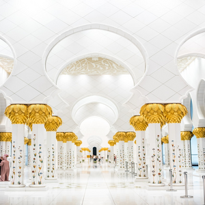 Image by Olgaozik titled ’uae, abu dhabi, grand’. Source: Pixabay