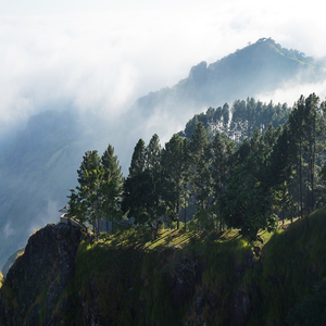Image by gerson_rodriguez titled ’el salvador, cerro el pimp, moutains’. Source: Pixabay Image by gerson_rodriguez titled ’el salvador, cerro el pimp, moutains’. Source: Pixabay