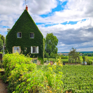 Image by djedj titled ’house, home, ivy’. Source: Pixabay