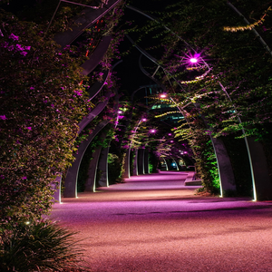 Image by KWANSOON titled ’southbank, parkland, brisbane’. Source: Pixabay