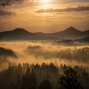 Image by JancickaL titled ’sunrise, fog, landscape’. Source: Pixabay