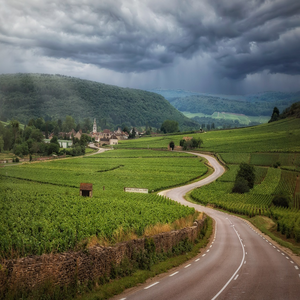Image by Tama66 titled ’road, nature, vineyards’. Source: Pixabay