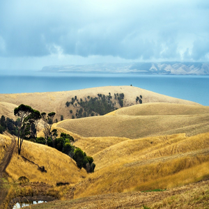 Image by xiSerge titled ’coast, ocean, sky’. Source: Pixabay
