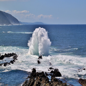 Image by cocoparisienne titled ’ocean, sea, waves’. Source: Pixabay